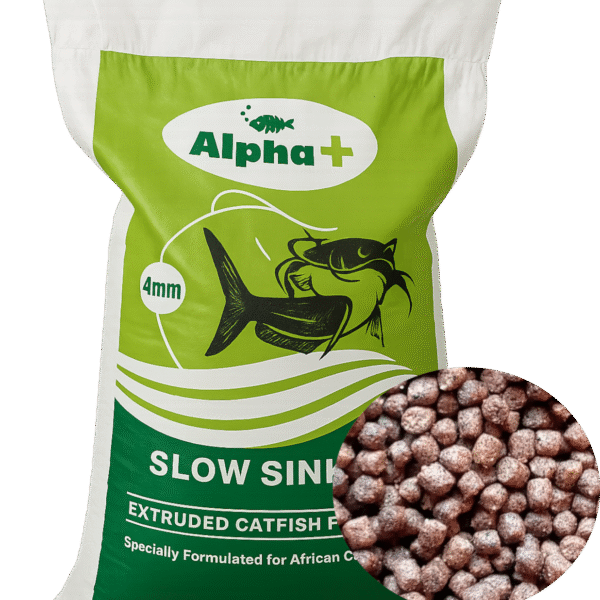 Alpha 4Mm 25Kg Bag